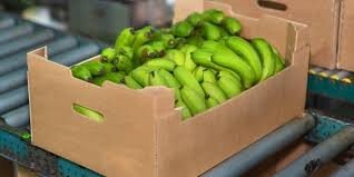 banano3