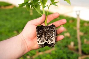 a617b760-f3e9-495d-a330-b9ab118f902e